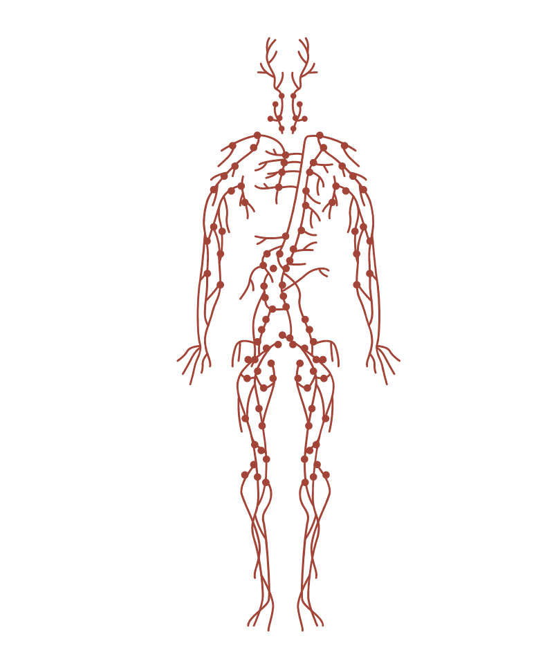 Massage Renata Franca reims